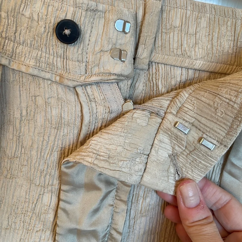 ZARA Textured Taupe Ankle Pants Women’s L Crinkle Fabric‎ Modern Spring